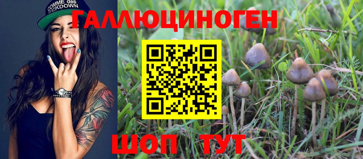 цены   Галлюциногенные грибы Magic Shrooms  Вход с VPN  Саров 