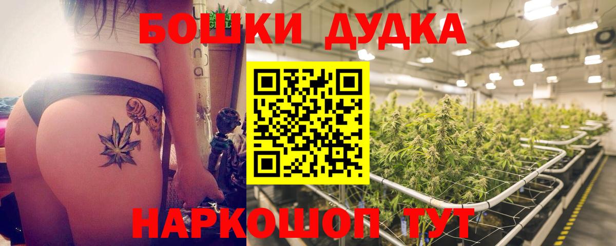 Бошки марихуана Ganja  Бошки марихуана план  Шишки марихуана планчик  Саров  Вход с VPN 
